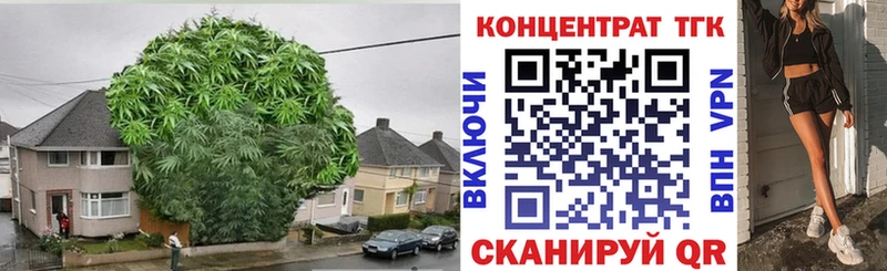 kraken ТОР  что такое   Ядрин  Дистиллят ТГК вейп с тгк 