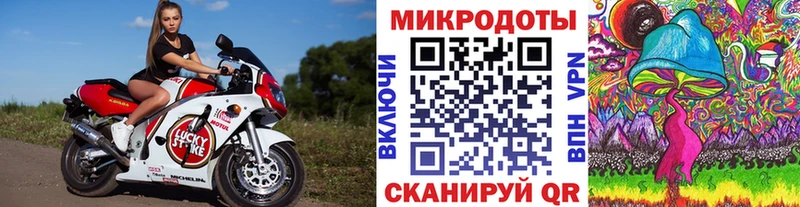 купить наркотики сайты  Ядрин  Псилоцибиновые грибы GOLDEN TEACHER 